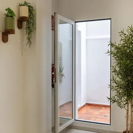 Vlc Host - Alfaro A Valence