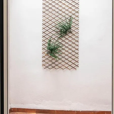 Vlc Host - Alfaro A Apartment