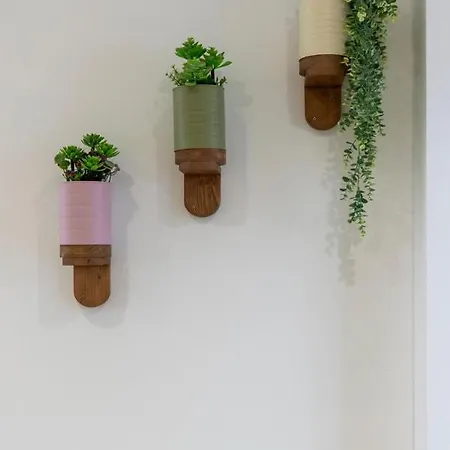 Vlc Host - Alfaro A *