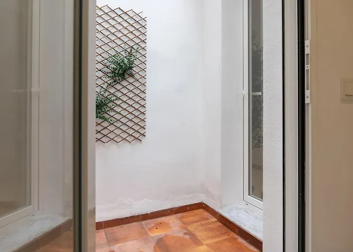 Vlc Host - Alfaro A