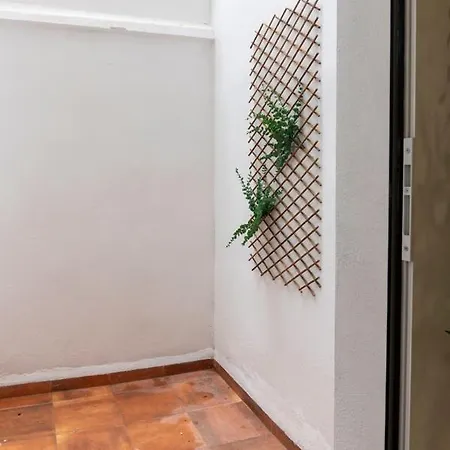 Vlc Host - Alfaro A バレンシア