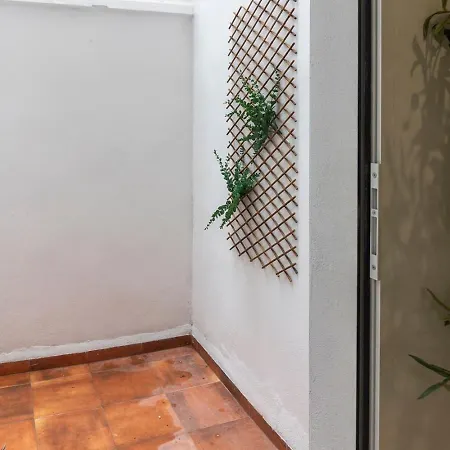 Vlc Host - Alfaro A